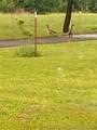 460925 1146 Road - Photo 16