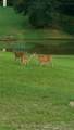 460925 1146 Road - Photo 30