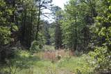 48751 County Road 642 - Photo 18
