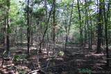 48751 County Road 642 - Photo 23