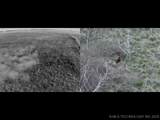  Prospect Avenue - Photo 10