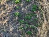  Prospect Avenue - Photo 12