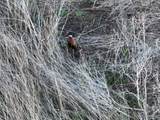  Prospect Avenue - Photo 7
