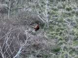  Prospect Avenue - Photo 9