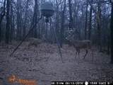 000 106th Street East - Photo 15