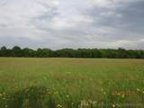  State 31 Highway - Photo 12