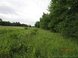  State 31 Highway - Photo 14