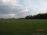  State 31 Highway - Photo 52