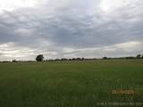  State 31 Highway - Photo 54