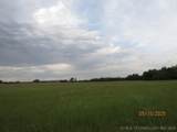  State 31 Highway - Photo 56