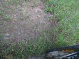  State 31 Highway - Photo 57