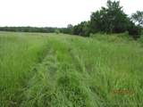  State 31 Highway - Photo 61