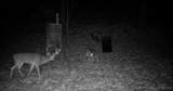  4636 Road - Photo 10