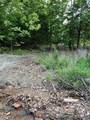 0 Eastern Brooktrout Street - Photo 4