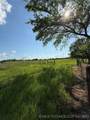  Mingo Road - Photo 3