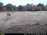 1 4256 Road - Photo 34