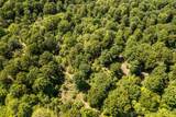4 4256 Road - Photo 25