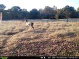 4 4256 Road - Photo 32