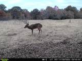 4 4256 Road - Photo 6