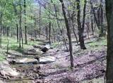 35787 Hwy 82 - Photo 14