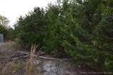27778 Hwy 82 - Photo 6