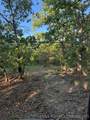 3400 County Road 1600 - Photo 8