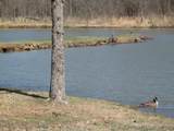 22 Timbercrest - Photo 14