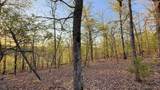 2345 Overlook Drive - Photo 14