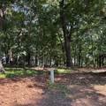 451792 Black Hawk Circle - Photo 1