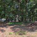 451792 Black Hawk Circle - Photo 3