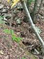  Rural Route - Photo 20