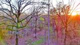 003 Dana Road - Photo 10