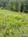 57580 37020 Road - Photo 3