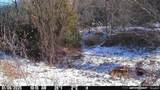 0000 602 Road - Photo 90