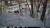 0000 602 Road - Photo 91