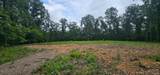 29855 585 Road - Photo 5