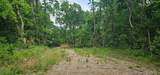 29855 585 Road - Photo 6
