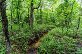 0000 221st Street - Photo 10