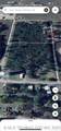 433 Terry Street - Photo 7