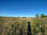3000 Wildflower - Photo 28