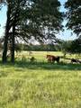 110009 County Road 3740 Road - Photo 57