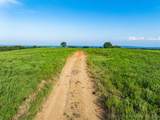 321 Hwy 16 - Photo 87