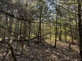 11 Blue Creek Road - Photo 20