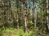 11 Blue Creek Road - Photo 38