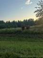  Pine Creek Road - Photo 2