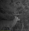 0 County Road 3630 - Photo 16