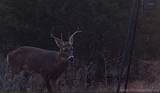 0 County Road 3630 - Photo 17