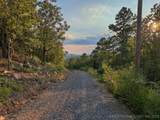 6 Moonshine Drive - Photo 12