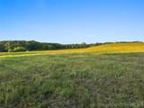 0000 Hackberry Road - Photo 41