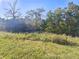 20100 Horseshoe Bend Road - Photo 6